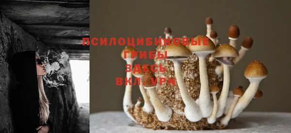 трава Верея