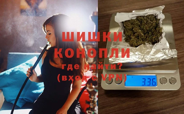 трава Верея