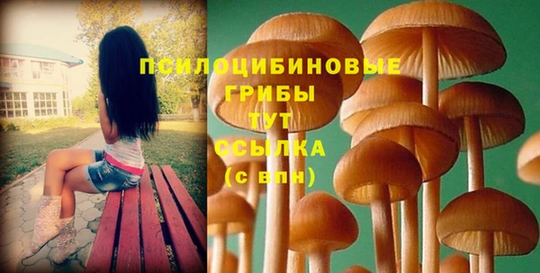 гашик Верхнеуральск