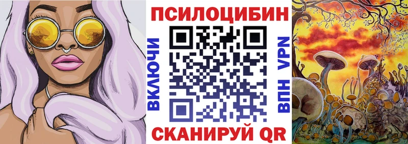 Галлюциногенные грибы мицелий где купить наркотик Кузнецк